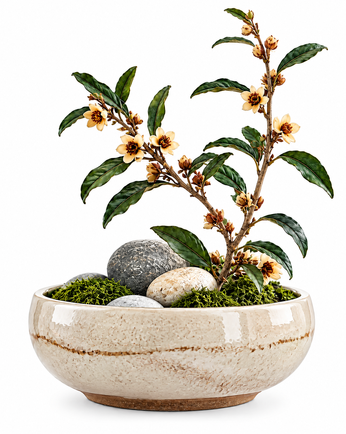 Theraventilo Natural Relaxation Decor image 2